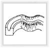 Loss of elasticity of seal